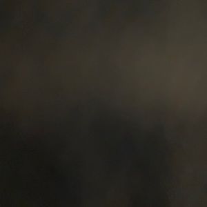 Meet your Posher, Noah